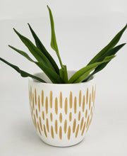 Load image into Gallery viewer, Pax Dash Planter - White Small